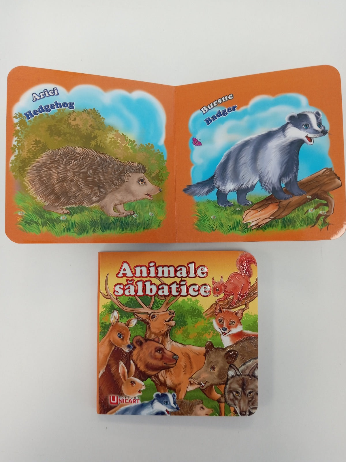 Carte educativă despre animale sălbatice, ideală pentru copii, cu imagini captivante și informații interesante despre fauna sălbatică.