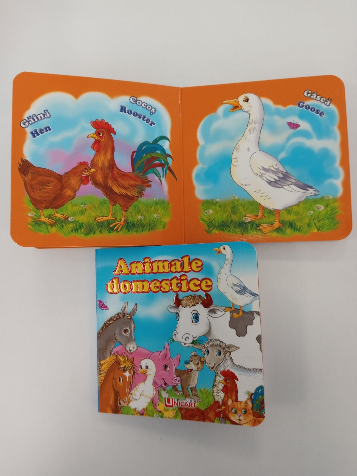 Carte educativă despre animale domestice, perfectă pentru copii, cu imagini și informații interesante pentru învățare distractivă.